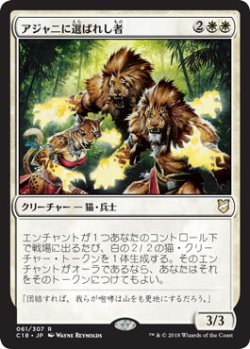 画像1: アジャニに選ばれし者/Ajani's Chosen (C18)