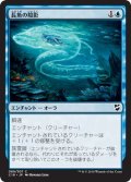 長魚の陰影/Eel Umbra (C18)