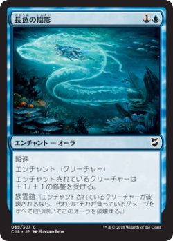 画像1: 長魚の陰影/Eel Umbra (C18)