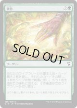 耕作/Cultivate (C18)