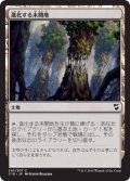 進化する未開地/Evolving Wilds (C18)