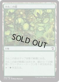 カルニの庭/Khalni Garden (C18)