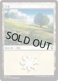 平地/Plains【Ver.1】(C18)