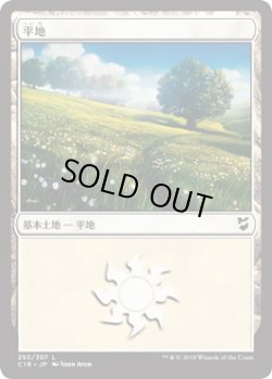 画像1: 平地/Plains【Ver.1】(C18)