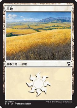 画像1: 平地/Plains【Ver.2】(C18)