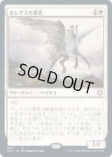 ボレアスの軍馬/Boreas Charger (C21)