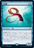 浅瀬蟲/Reef Worm (C21)