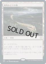 屍肉あさりの地/Scavenger Grounds (C21)