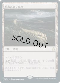 屍肉あさりの地/Scavenger Grounds (C21)
