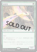 極楽鳥/Birds of Paradise (CN2)《Foil》