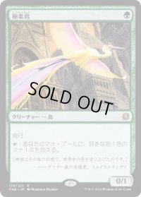 極楽鳥/Birds of Paradise (CN2)《Foil》