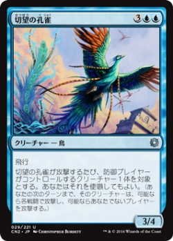 画像1: 切望の孔雀/Coveted Peacock (CN2)《Foil》