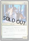 柏槙教団のレインジャー/Juniper Order Ranger (CN2)《Foil》
