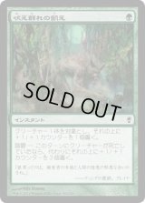 吠え群れの飢え/Hunger of the Howlpack (CNS)《Foil》