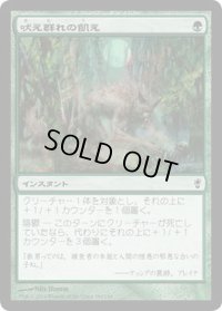 吠え群れの飢え/Hunger of the Howlpack (CNS)《Foil》