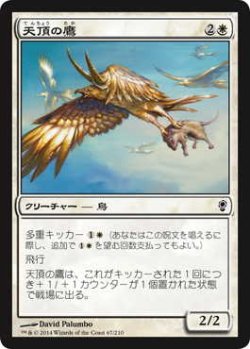 画像1: 天頂の鷹/Apex Hawks (CNS)《Foil》