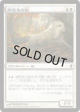 銀筋毛の狐/Silverchase Fox (CNS)《Foil》