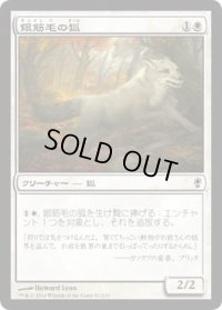 銀筋毛の狐/Silverchase Fox (CNS)《Foil》