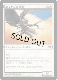 エイヴンの従者/Aven Squire (CON)
