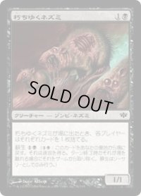 朽ちゆくネズミ/Rotting Rats (CON)