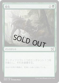 画像1: 帰化/Naturalize (DDU)
