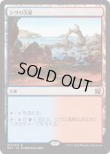 シヴの浅瀬/Shivan Reef (DDU)