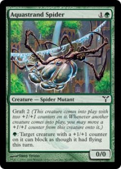 画像1: 水辺の蜘蛛/Aquastrand Spider(DIS)