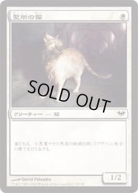 聖所の猫/Sanctuary Cat (DKA)《Foil》