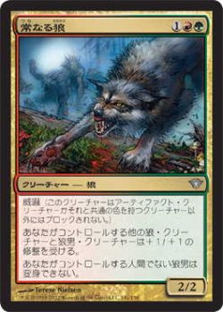 画像1: 常なる狼/Immerwolf (DKA)《Foil》