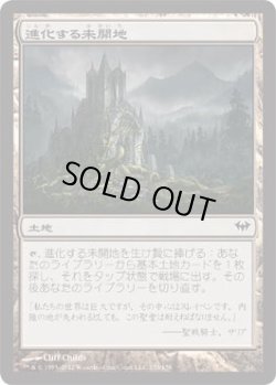 画像1: 進化する未開地/Evolving Wilds (DKA)《Foil》