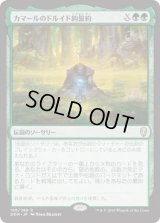 カマールのドルイド的誓約/Kamahl’s Druidic Vow (DOM)《Foil》