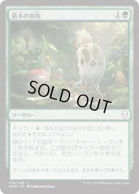 苗木の移牧/Saproling Migration (DOM)《Foil》