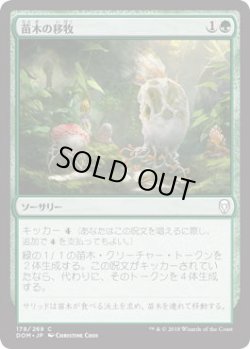 画像1: 苗木の移牧/Saproling Migration (DOM)《Foil》