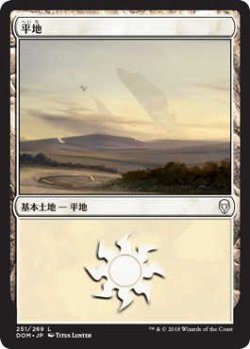 画像1: 平地/Plains【Ver.2】(DOM)