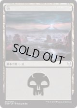 沼/Swamp【Ver.1】(DOM)