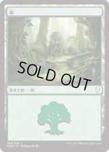 森/Forest【Ver.1】(DOM)