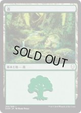 森/Forest【Ver.4】(DOM)