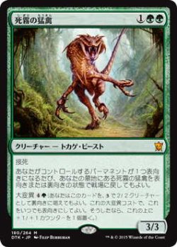 画像1: 死霧の猛禽/Deathmist Raptor (DTK)《Foil》