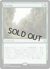 森の知恵/Sylvan Library (EMA)《Foil》