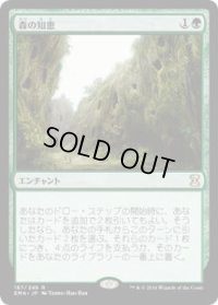 森の知恵/Sylvan Library (EMA)《Foil》