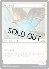 癒し手の鷹/Healer's Hawk (GRN)《Foil》