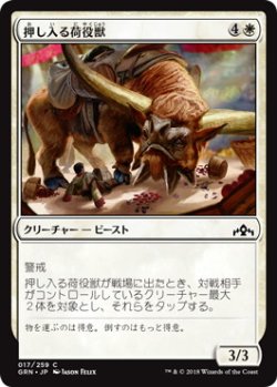 画像1: 押し入る荷役獣/Intrusive Packbeast (GRN)