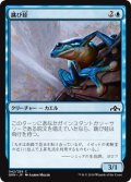 跳び蛙/Leapfrog (GRN)