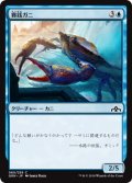 賽銭ガニ/Wishcoin Crab (GRN)《Foil》