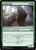 樹木園の精霊/Arboretum Elemental (GRN)《Foil》