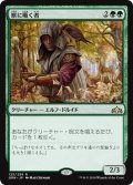 獣に囁く者/Beast Whisperer (GRN)