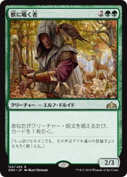 画像1: 獣に囁く者/Beast Whisperer (GRN)《Foil》