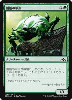 画像1: 鋼胴の甲虫/Ironshell Beetle (GRN)《Foil》