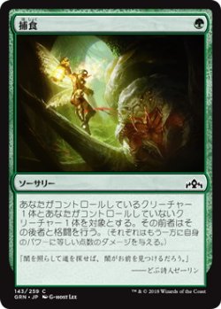 画像1: 捕食/Prey Upon (GRN)《Foil》