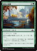 都市の楽園/Urban Utopia (GRN)